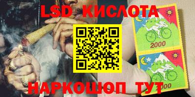 прущие грибы Кунгур