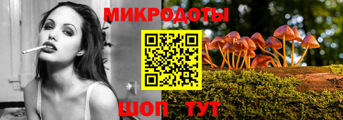 Псилоцибиновые грибы Cubensis Кинель
